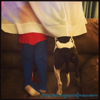 11249263_951900508174348_1373354569_n