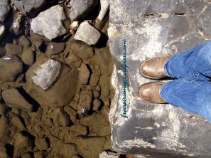 kinderhook creek nassau ny 2012