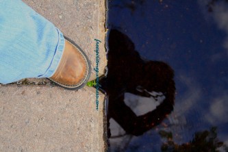 oak openings mothers day 2010 2