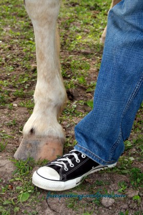 paul- spirit 2008 OH