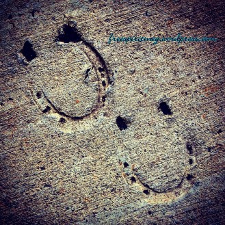 tugboat round up waterford 2014