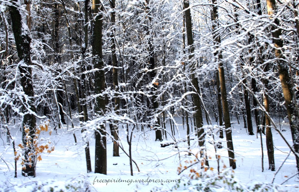 Let It Snow, Let It Snow, Let It Snow!