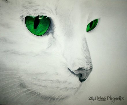 260505_10150220959252132_8275524_n