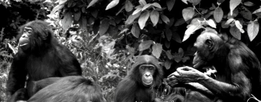 Free Spirit Leap Year!