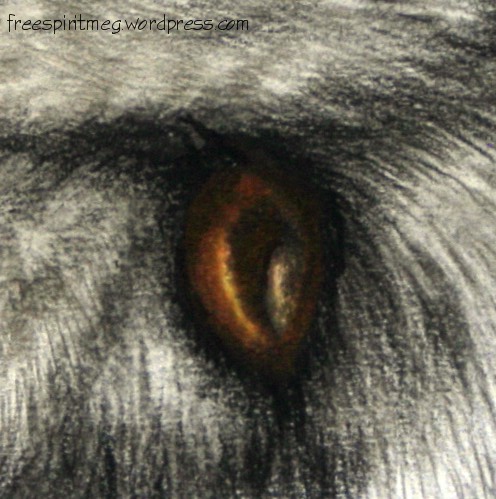 Totem Animals: What Does the Fox Really Say?