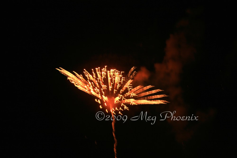 IMG_0769 Dandelion WM