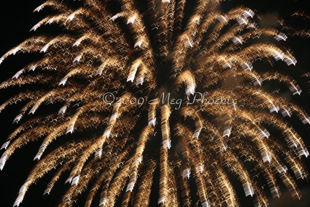 IMG_0892 Star Shower WM