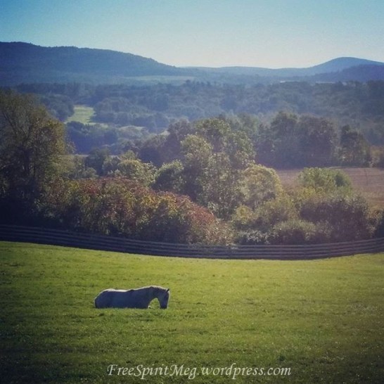 14350869_1175905212466000_6329618184584298496_n