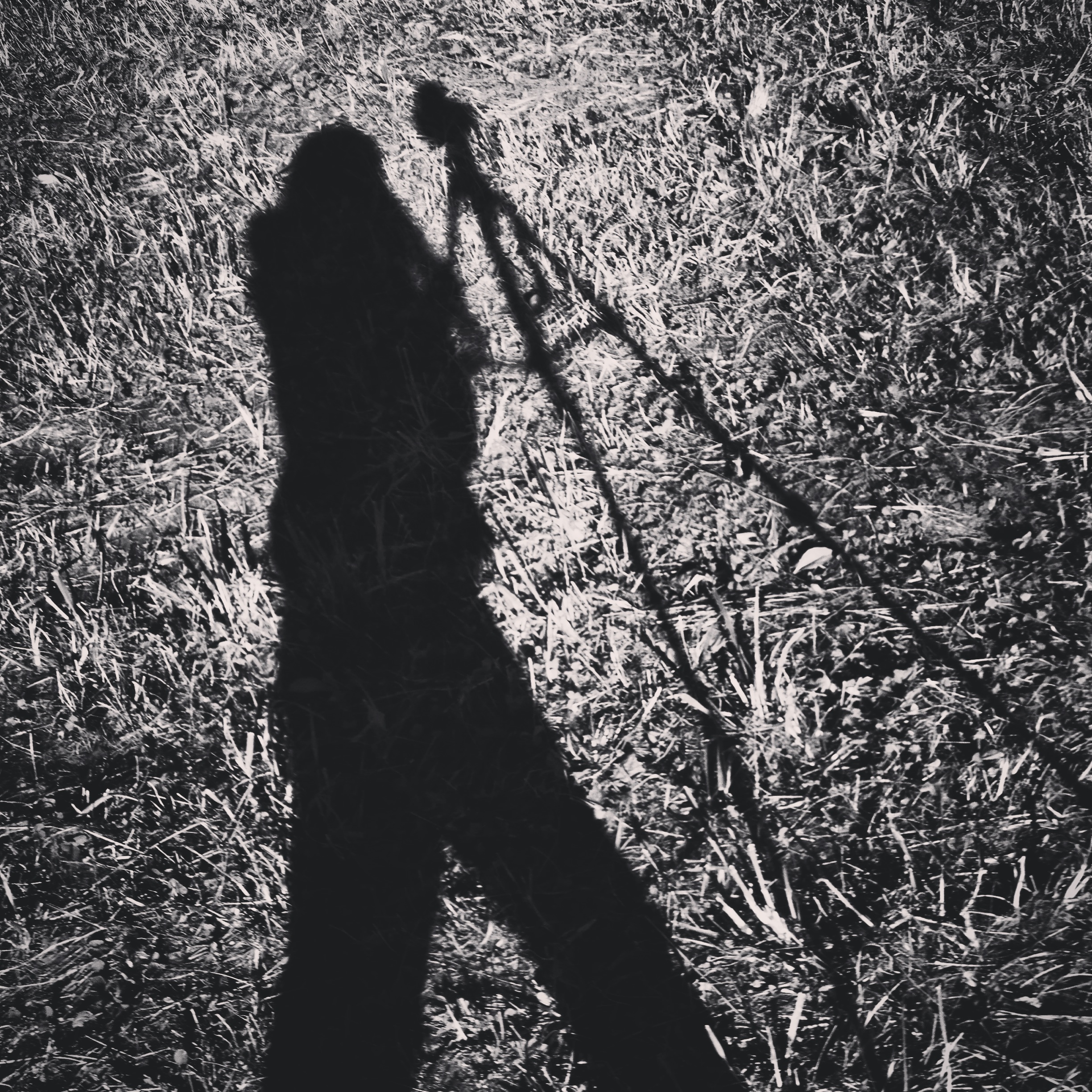 The Saturn Return of a Free Spirit