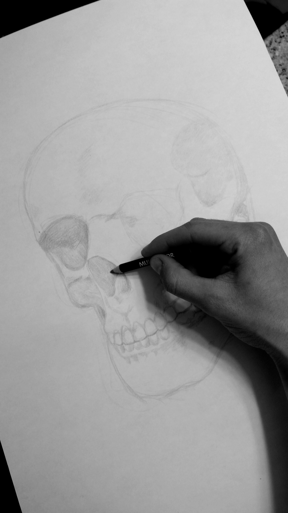 Megtography – “Back in the Saddle”