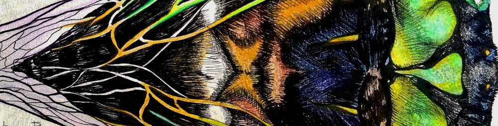 Totem Animal: Cicada