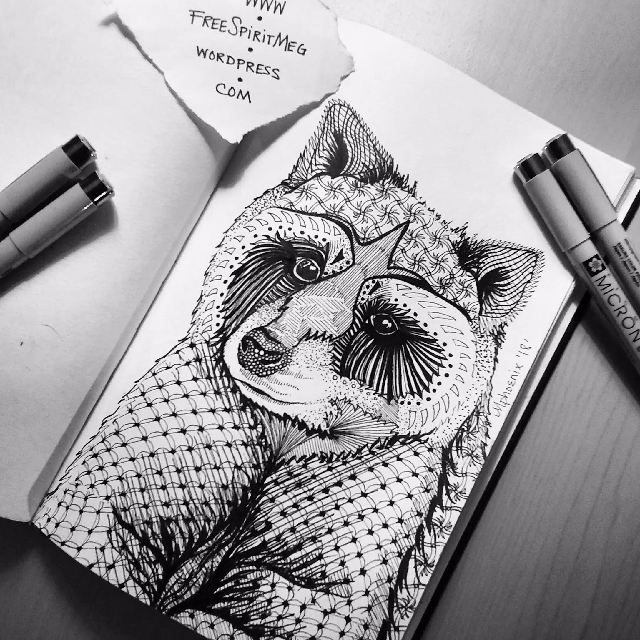 Totem Animal: Raccoon