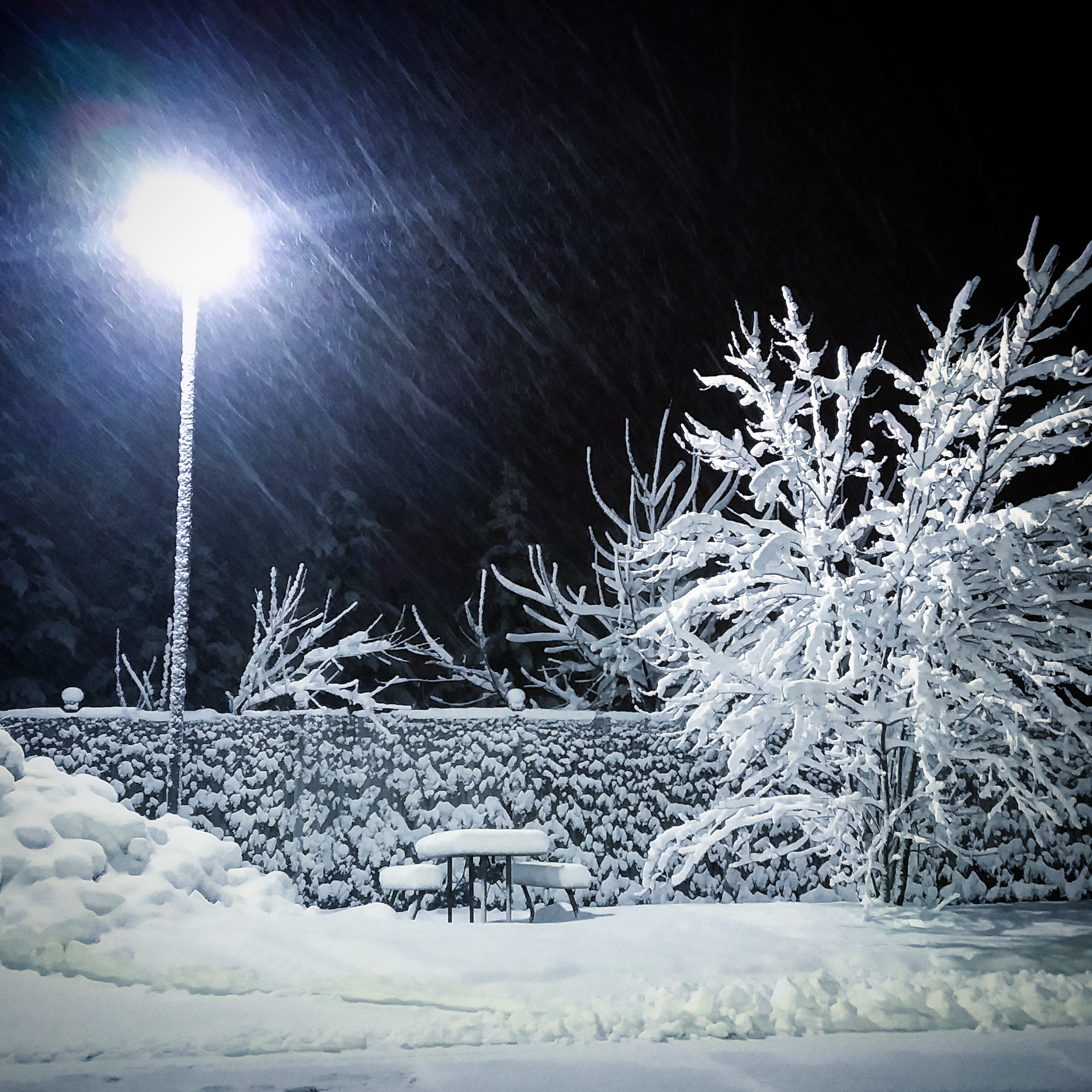 FSM Update: Snow, Sketches & Subs