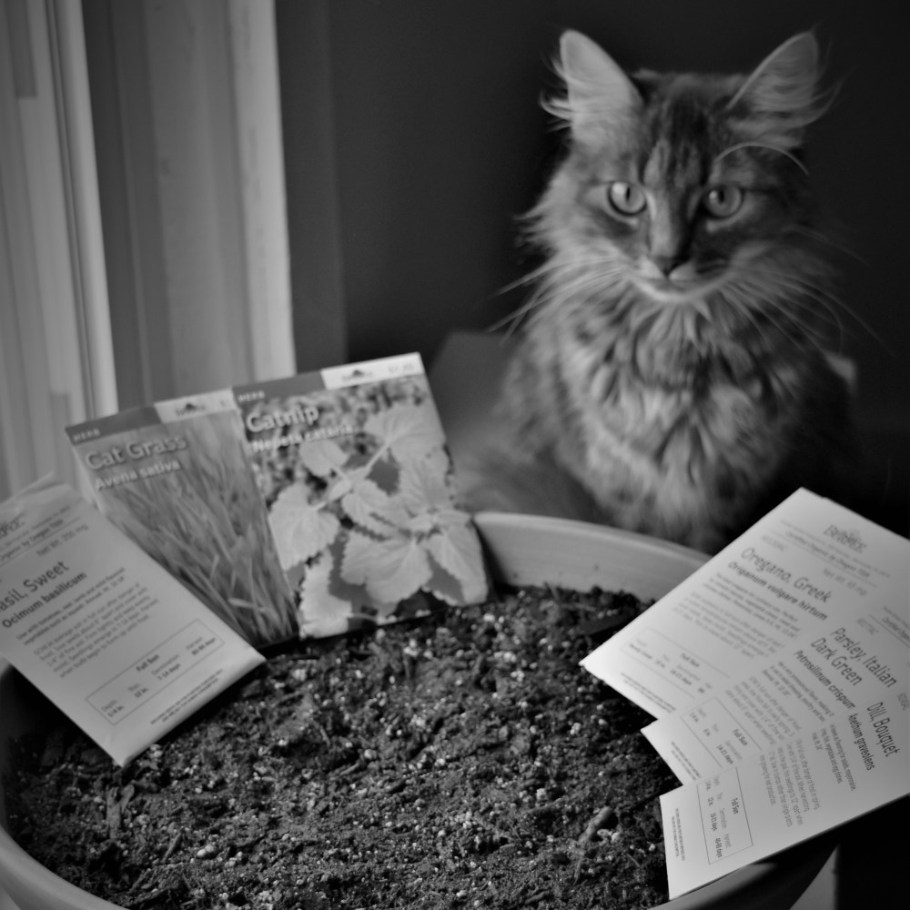 #10 – Happy Ostara!