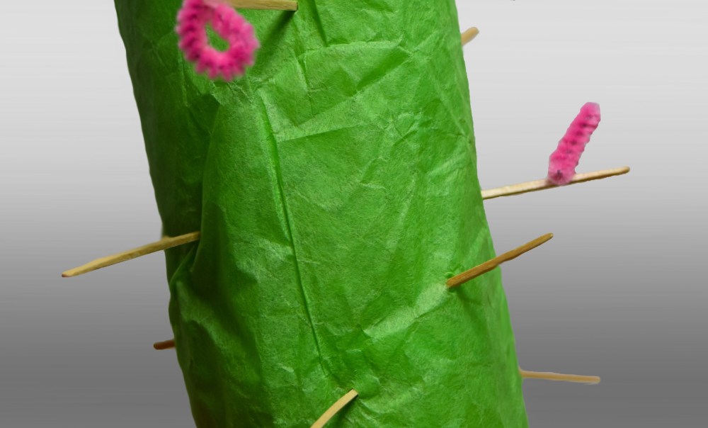 #40 – Beautiful Cactus