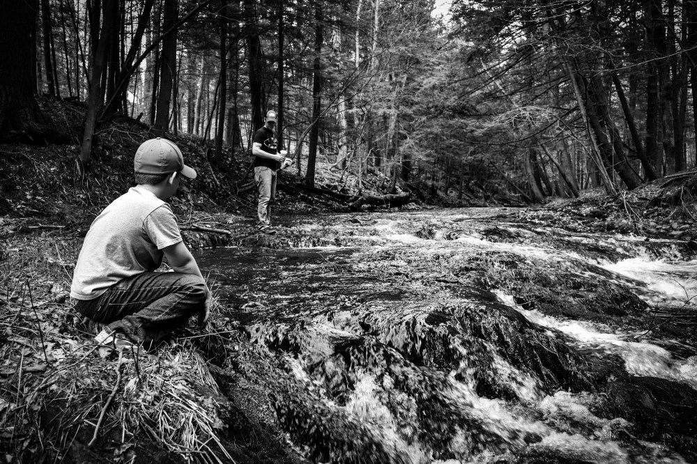 #49 – A Walk in the Park