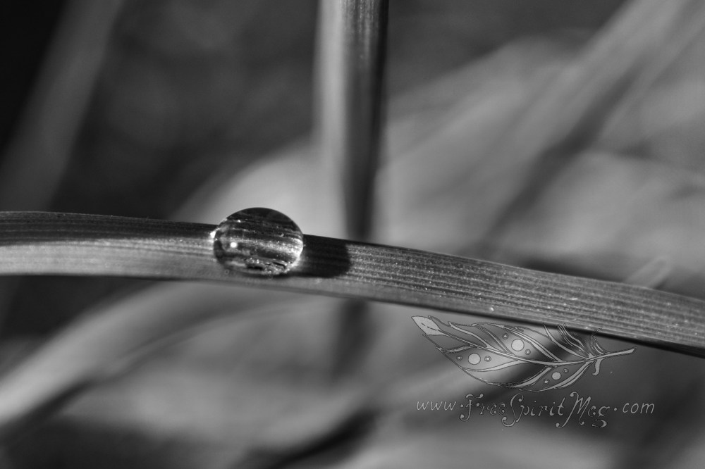 #41 – Grass Bead