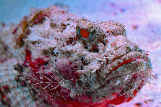 New England Aquarium (29)