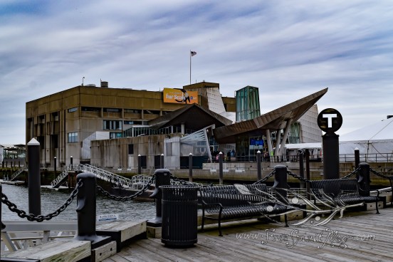 New England Aquarium (32)