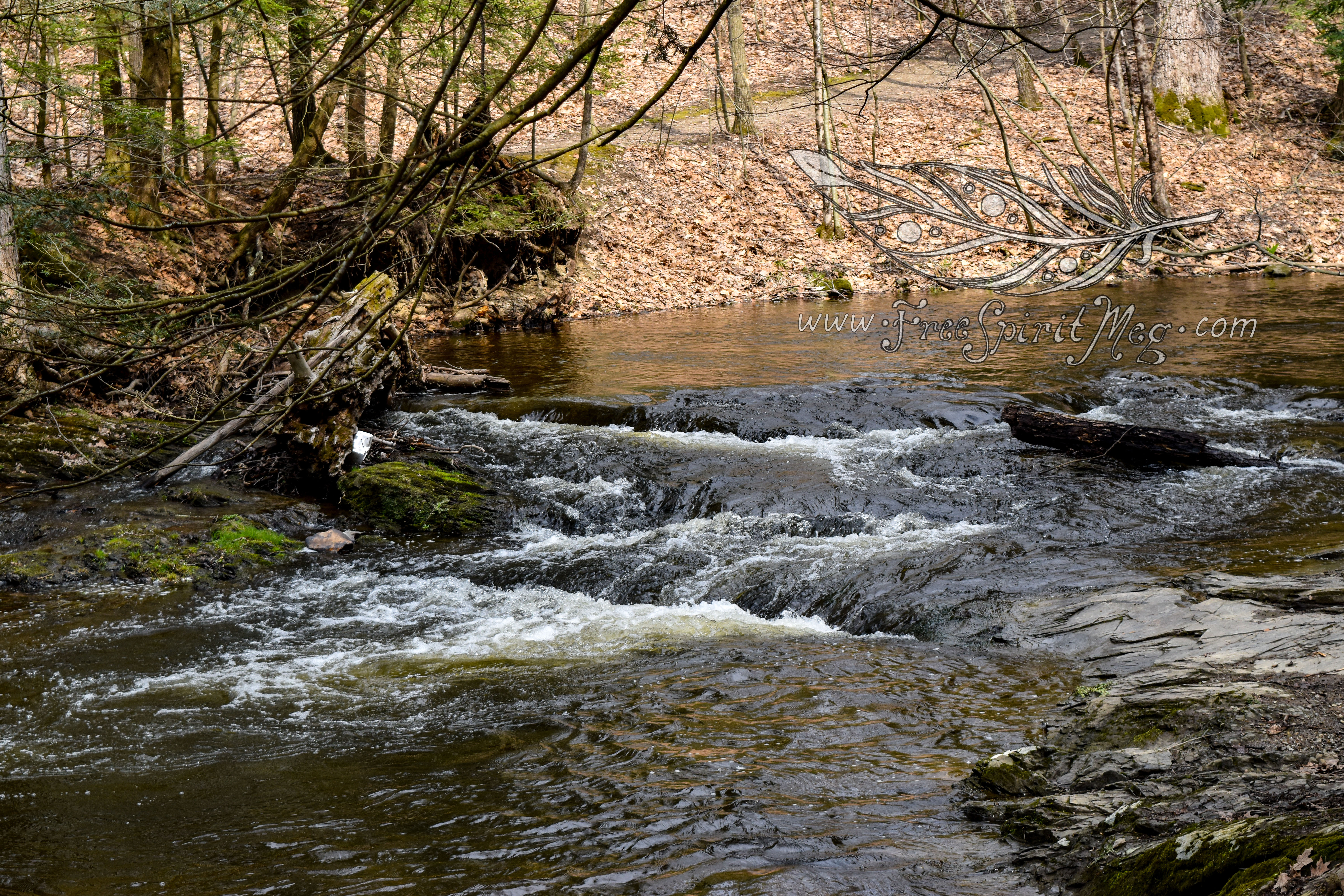 Photo Journal: Schodack Town Park