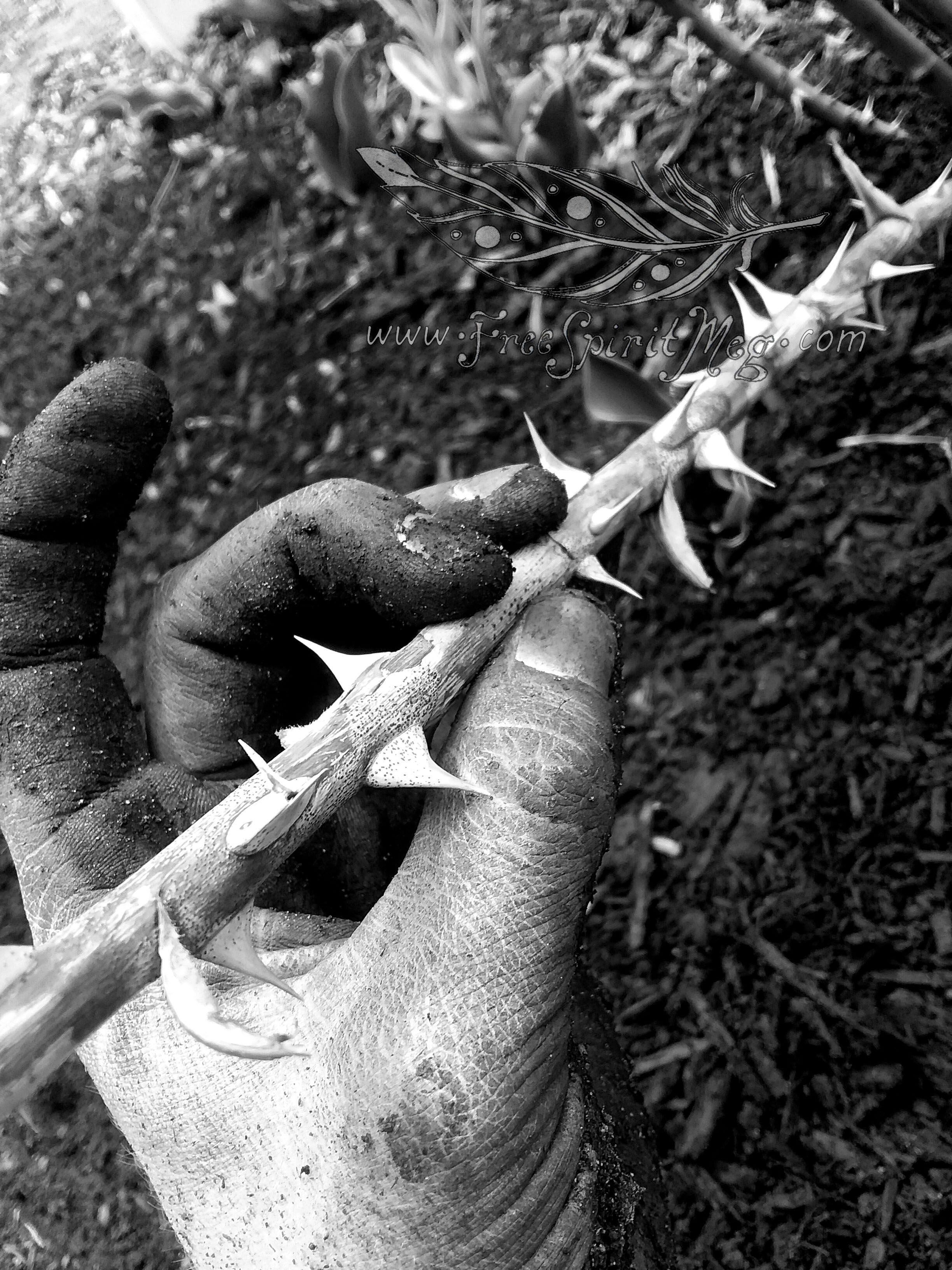 #39 – It’s A Dangerous Job…