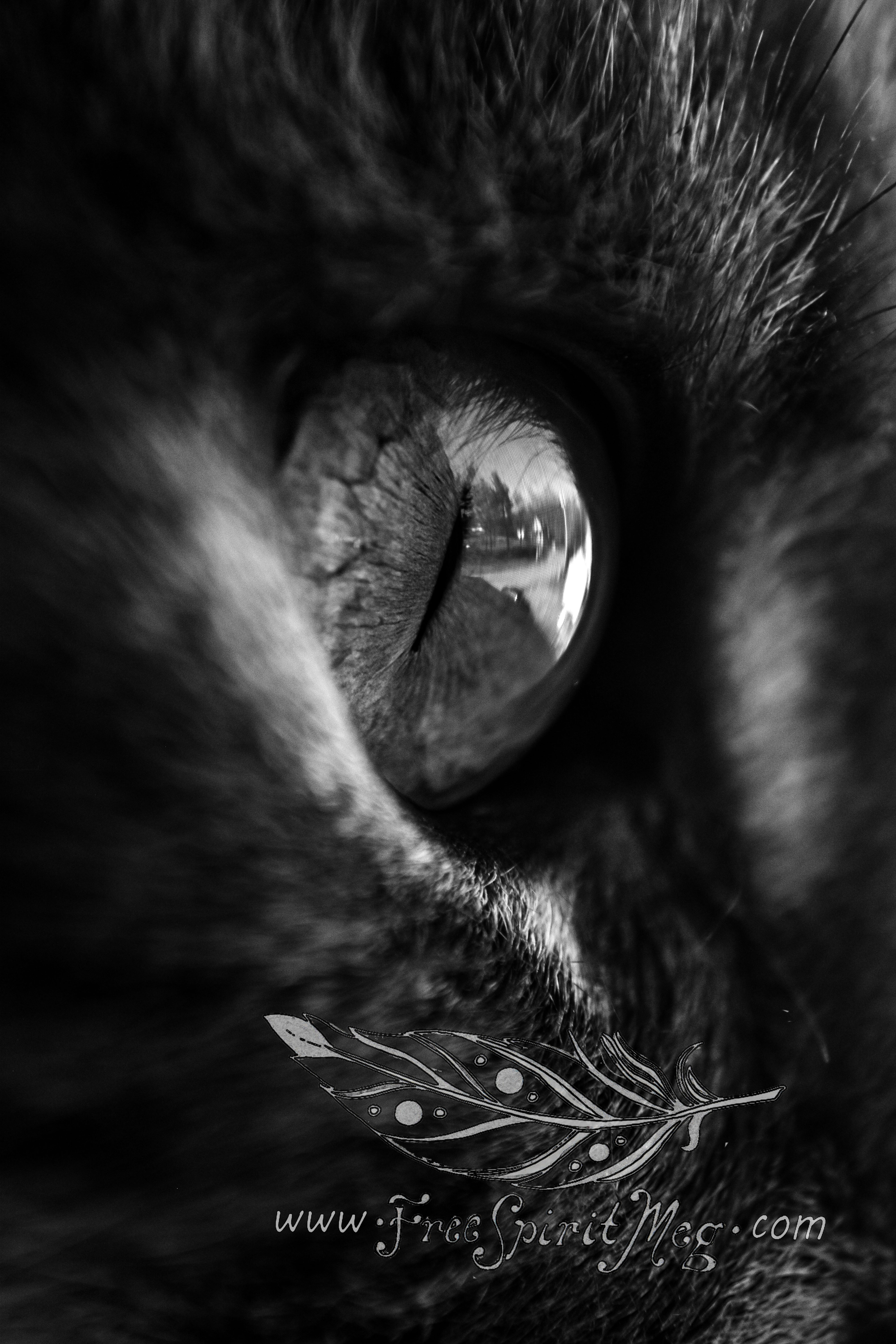 #42 – Through Her Eyes