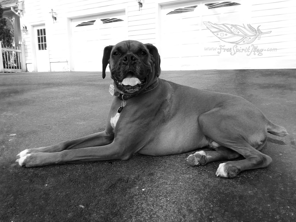 #66 – Work Perk – 5.15.18