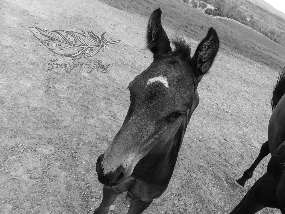 #77 – Gardens & Other Things – 5.26-30.18