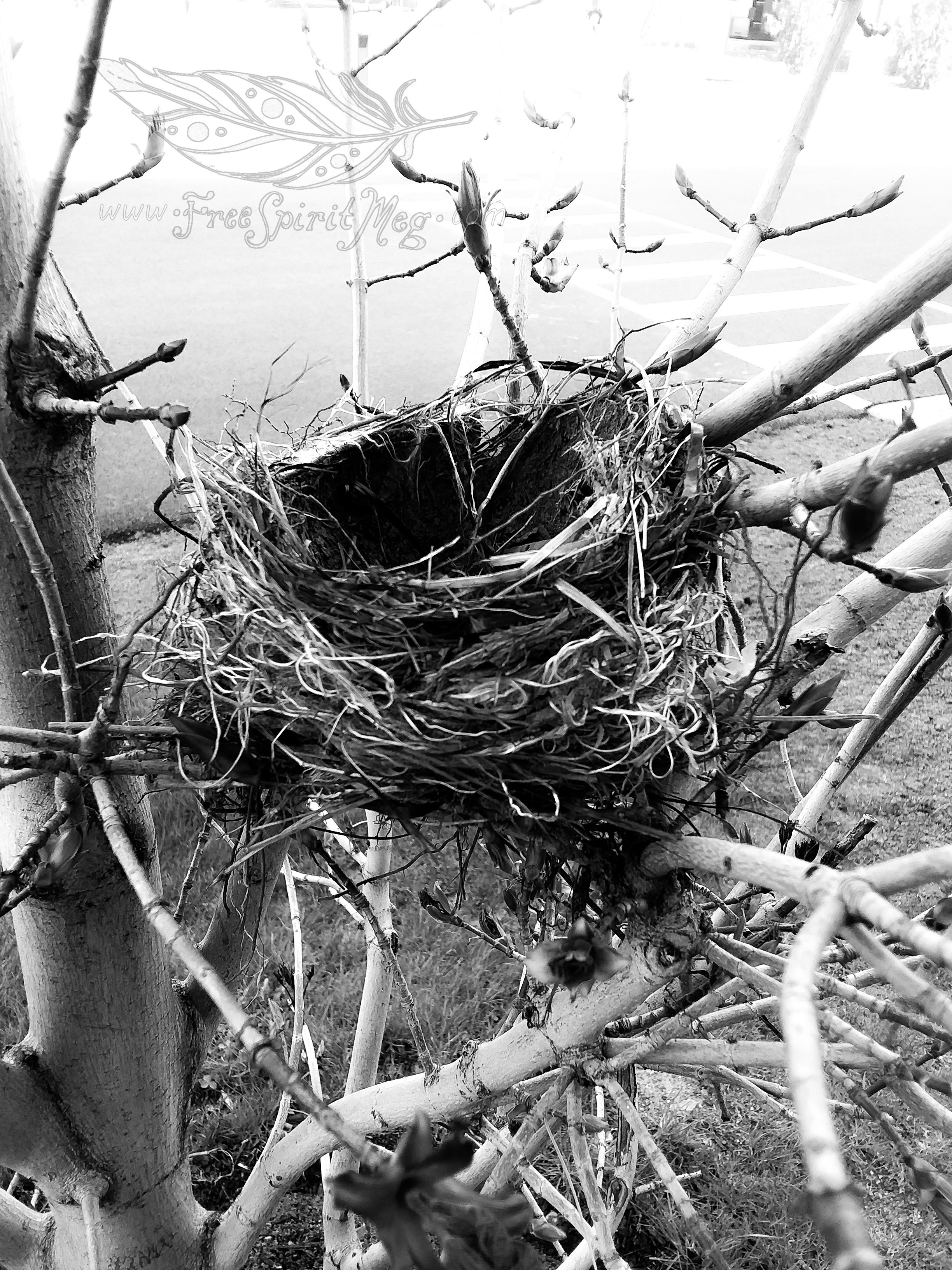 #53 – Home Sweet Home