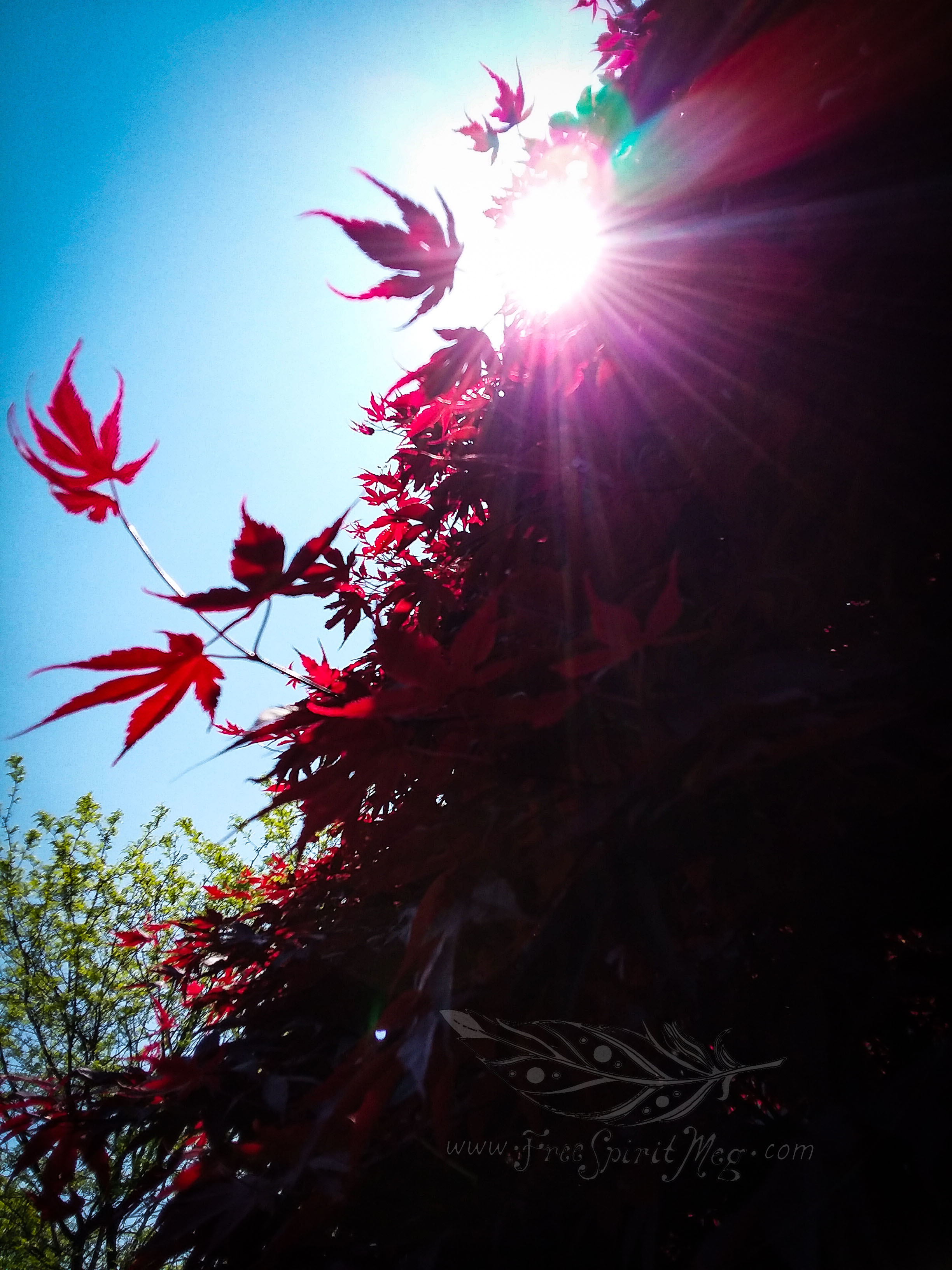 #74 – Beautiful Day – 5.23.18