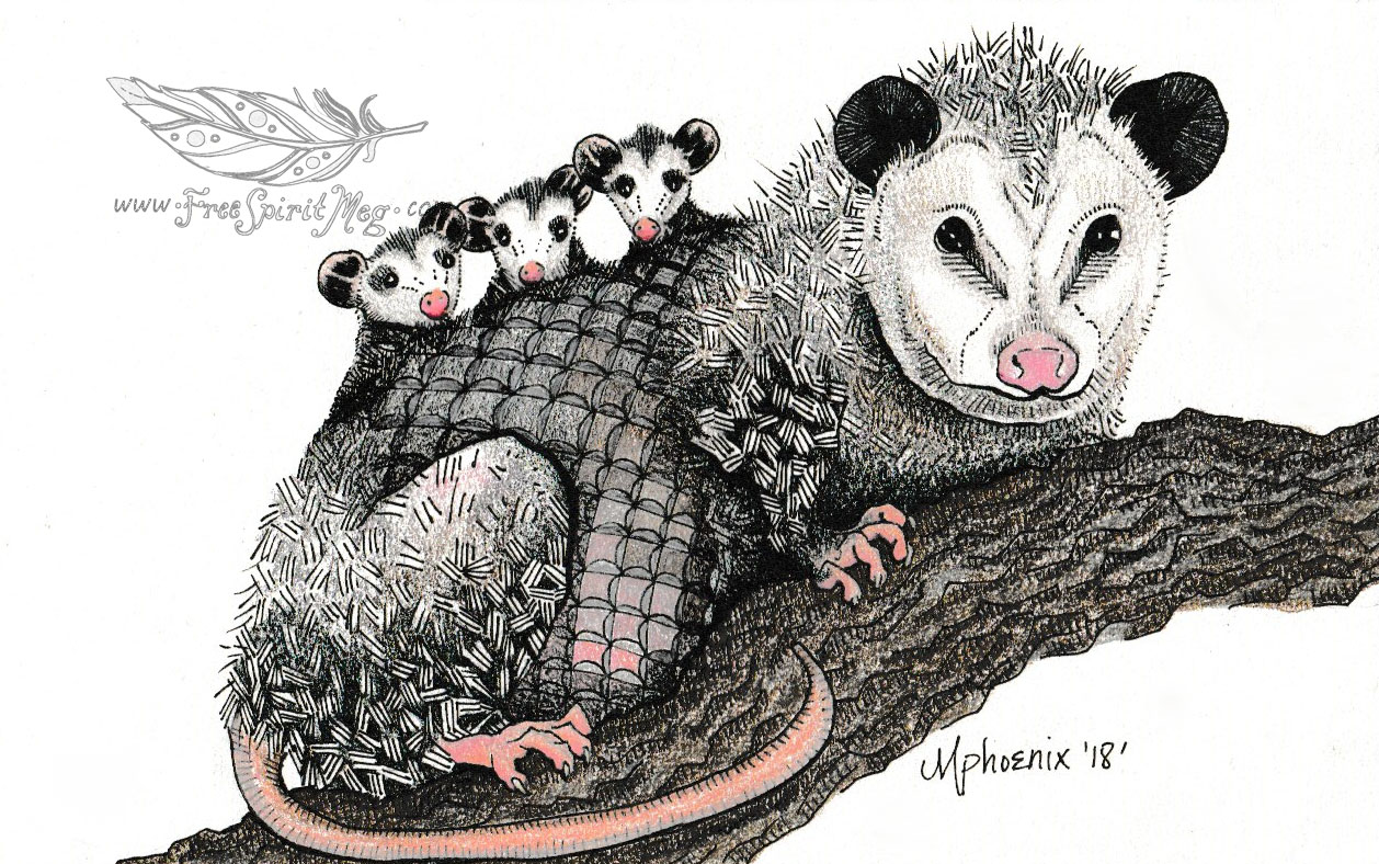 Totem Animal: Opossum