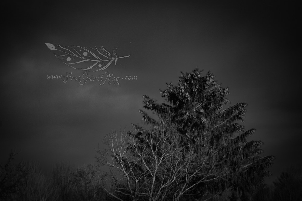 #62 – Dark Skies & Pinecones – 5.11.18