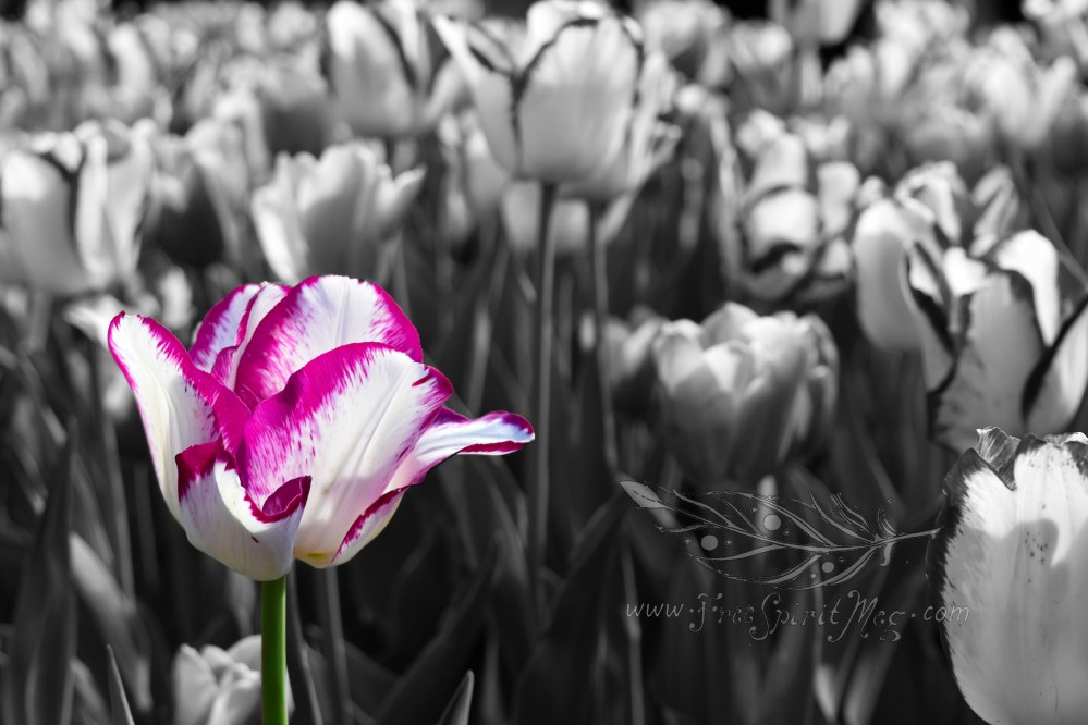 #64 – Happy Mother’s Day – 5.13.18