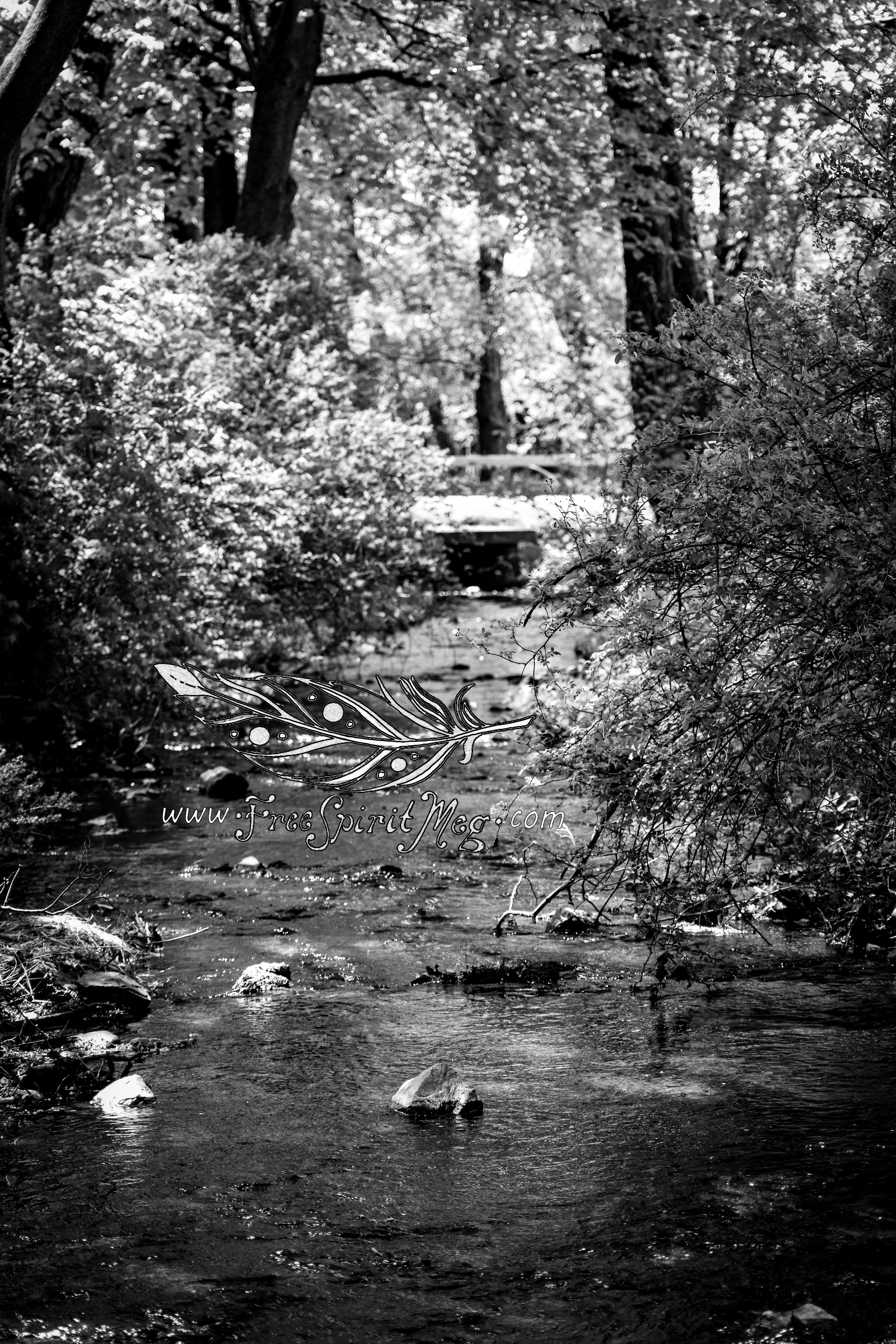 #83 – Go With the Flow – 6.5.18