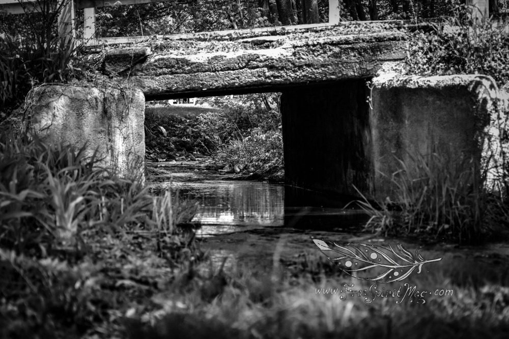 #86 – Under the Bridge – 6.8.17