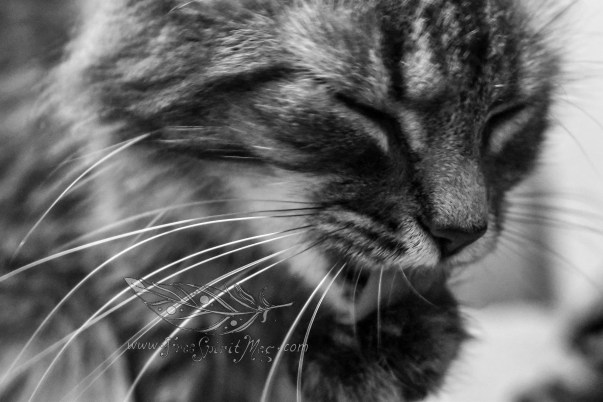 Wash Between Your Toes