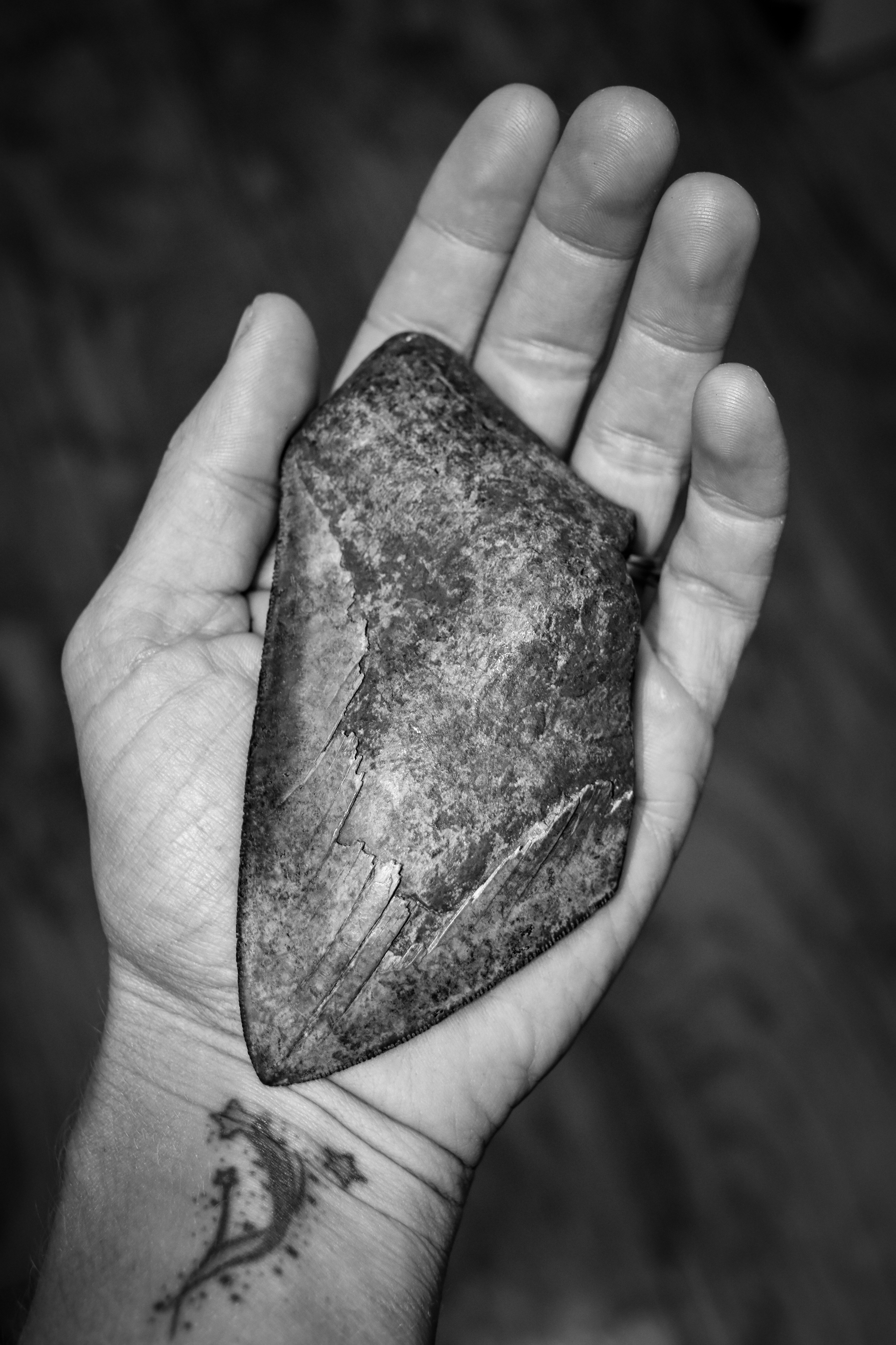 #130 – The MEG…tooth – 7.22.18