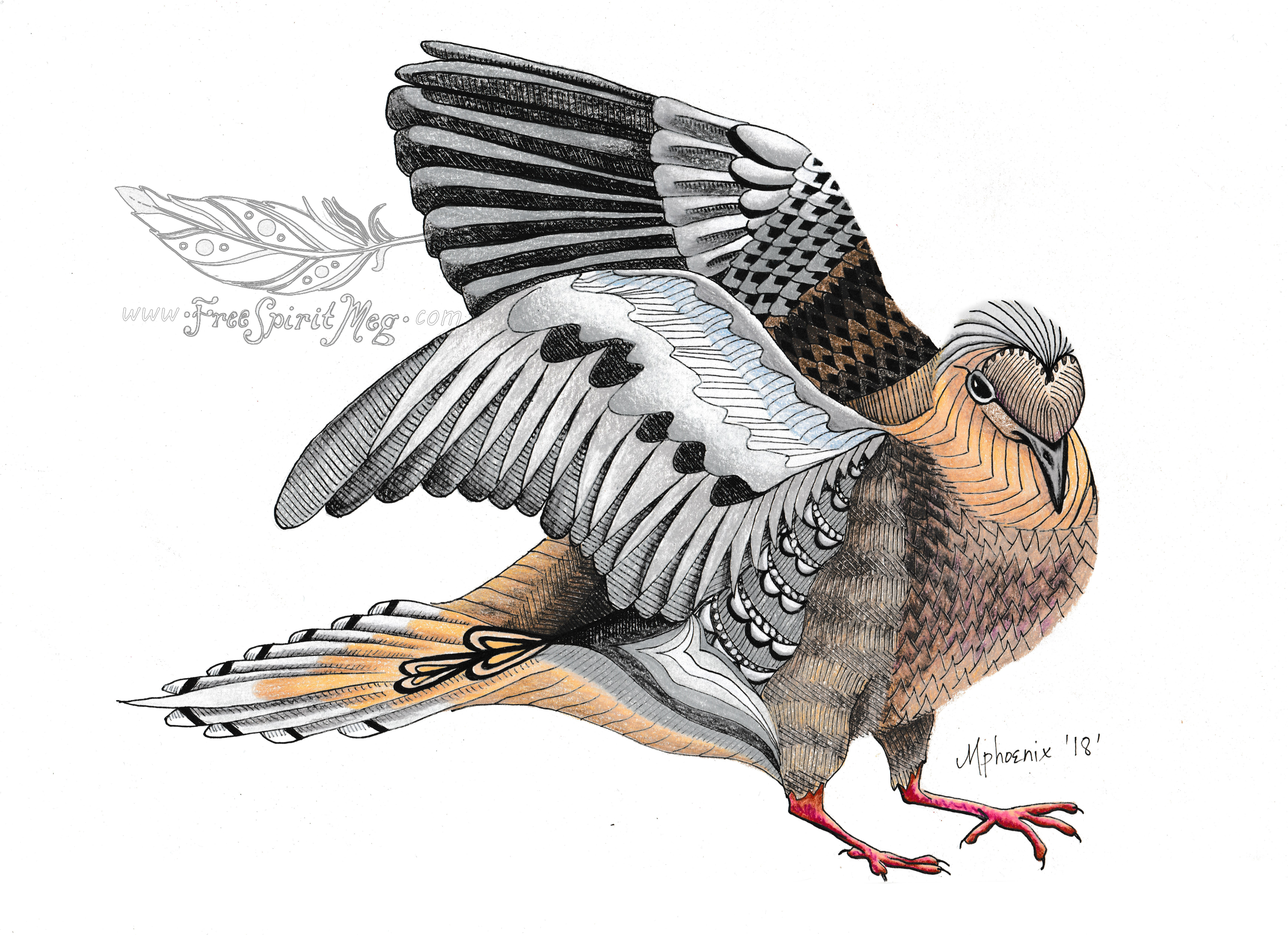 Morning Dove Totem Color