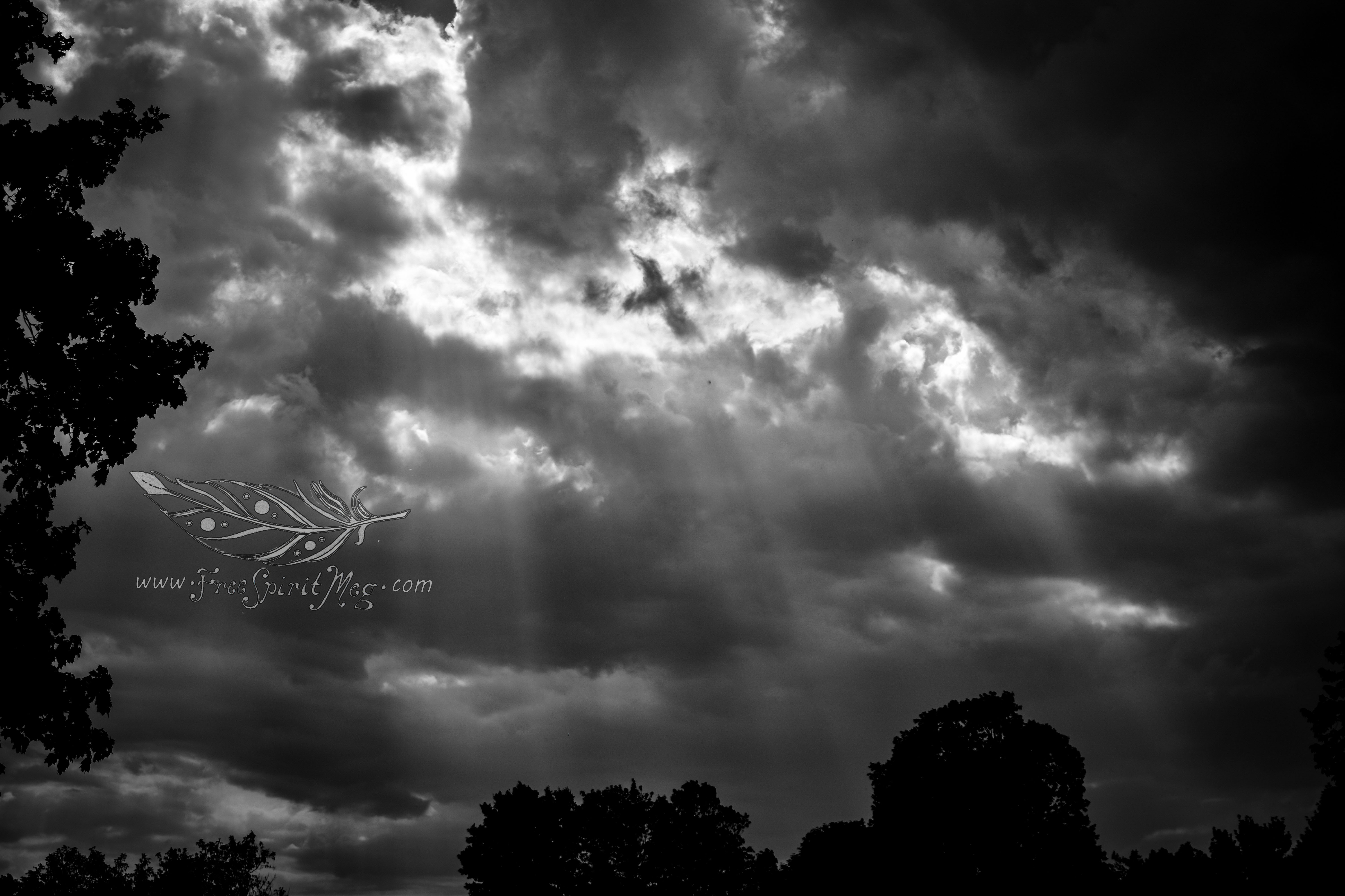 #118 – Sunrays – 7.10.18