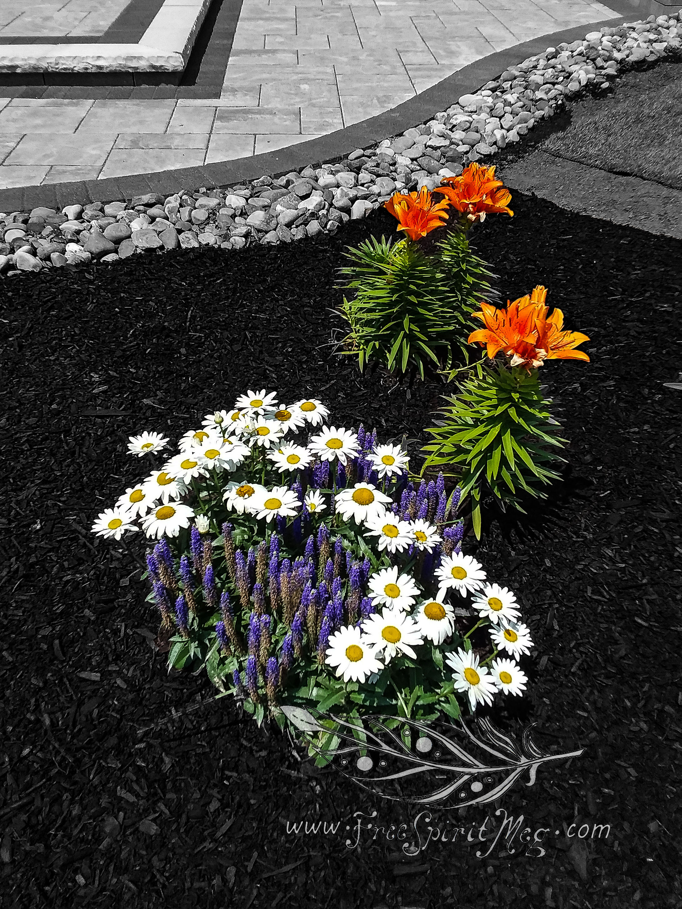 #111 – Collaboration of Color – 7.3.18