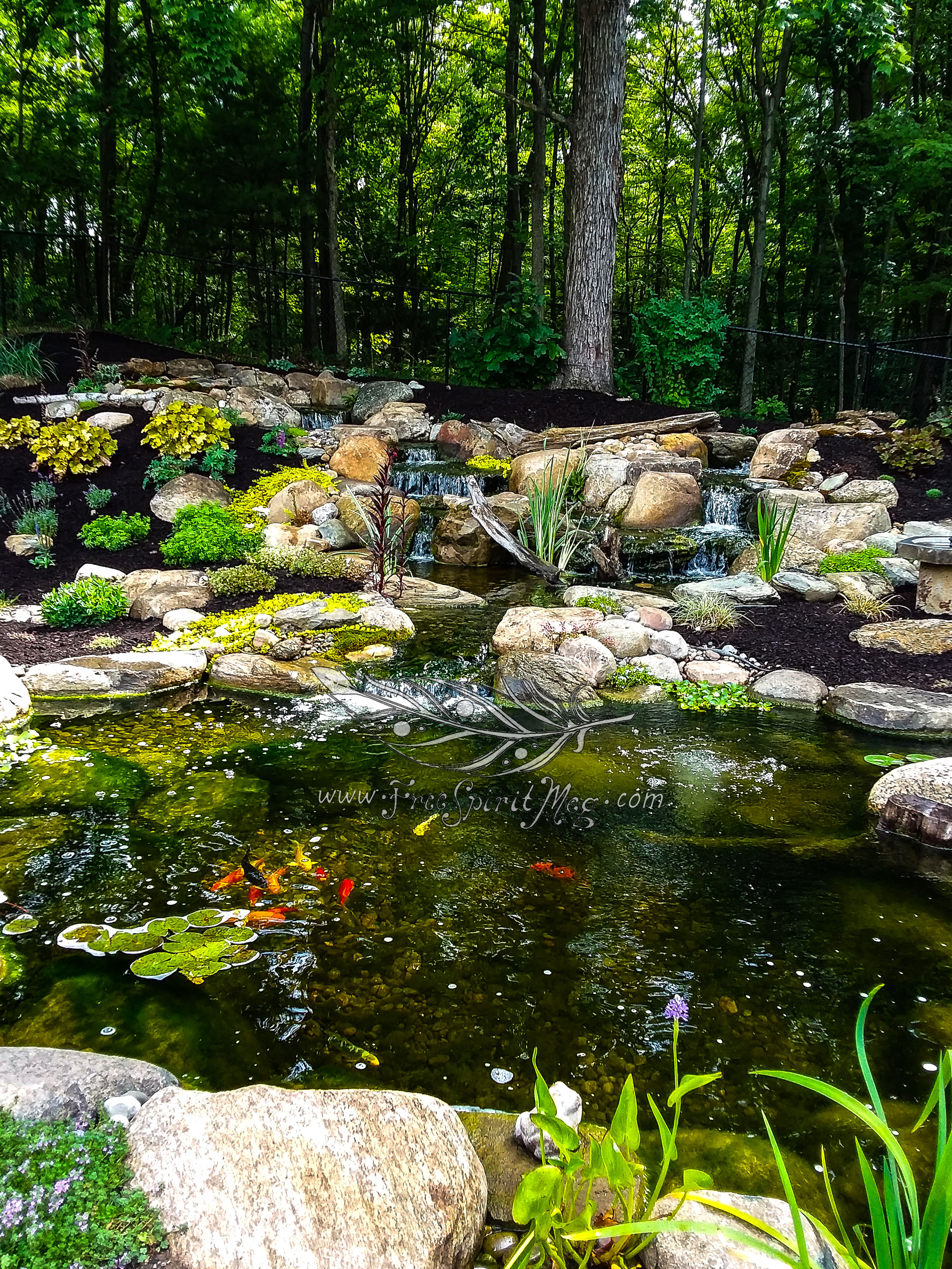 #114 – Wonderfall – 7.6.18