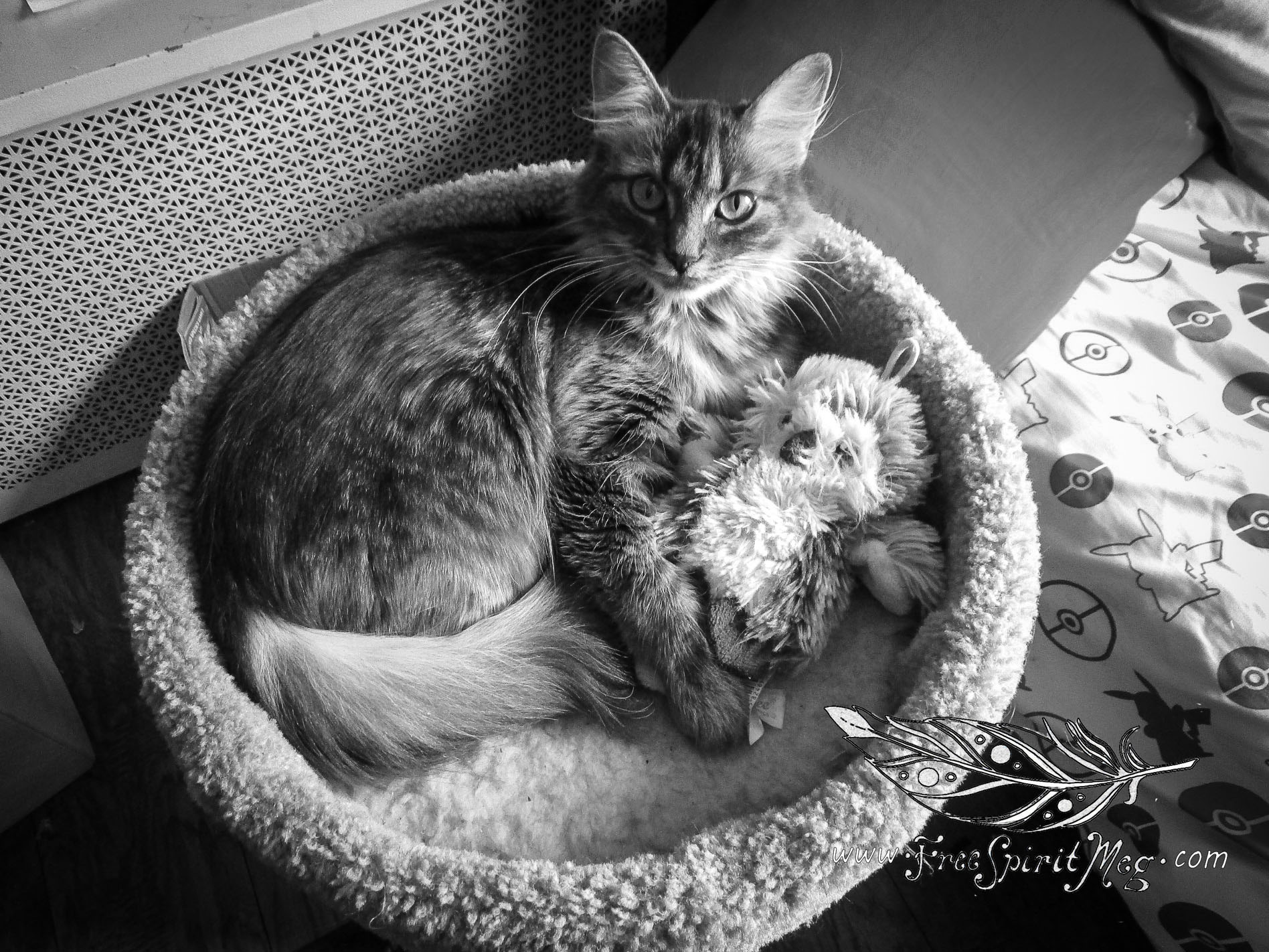 #13 – Mr. Owl – 8.20.18