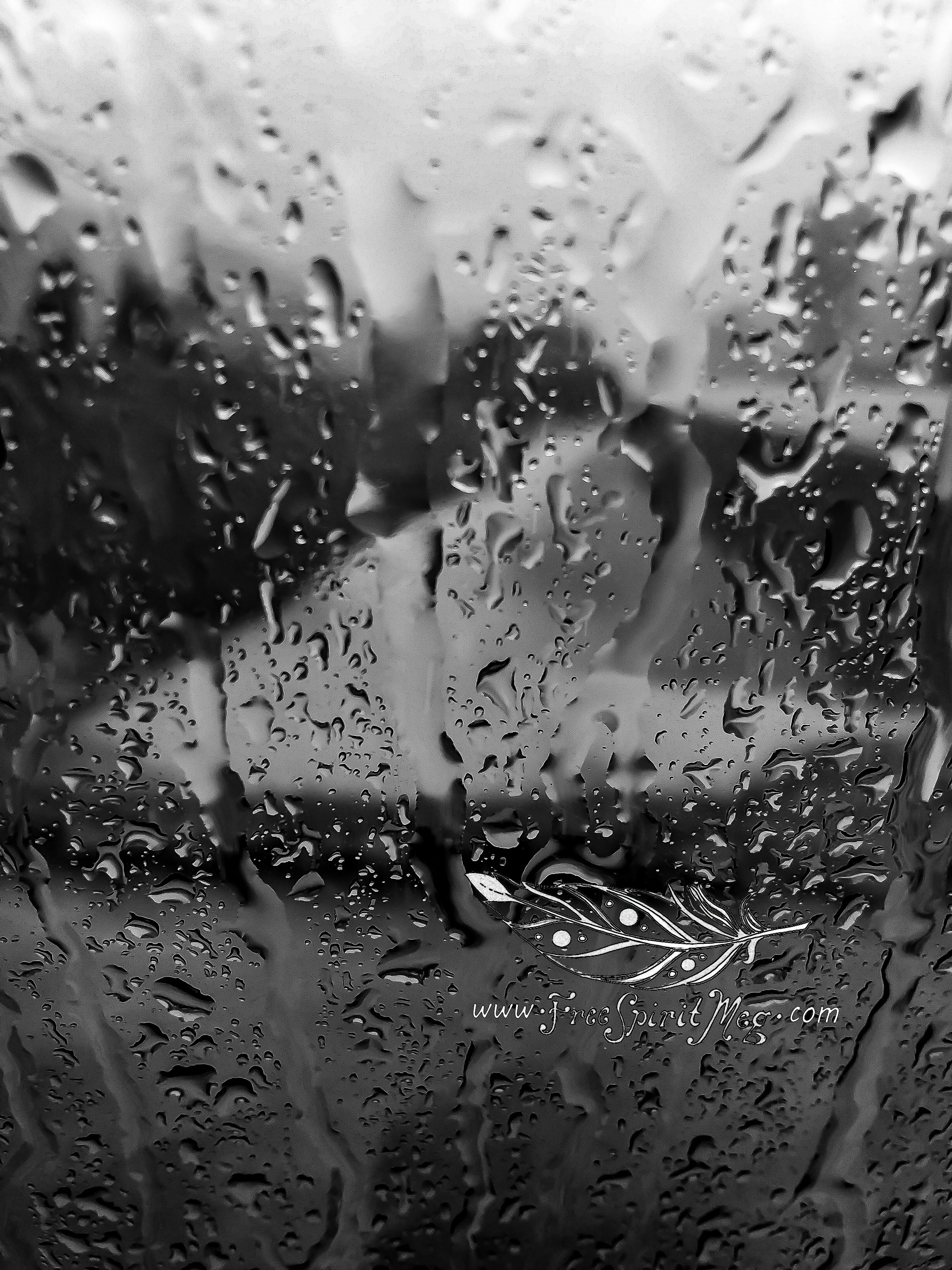 #4 – All Day Rain – 8.11.18