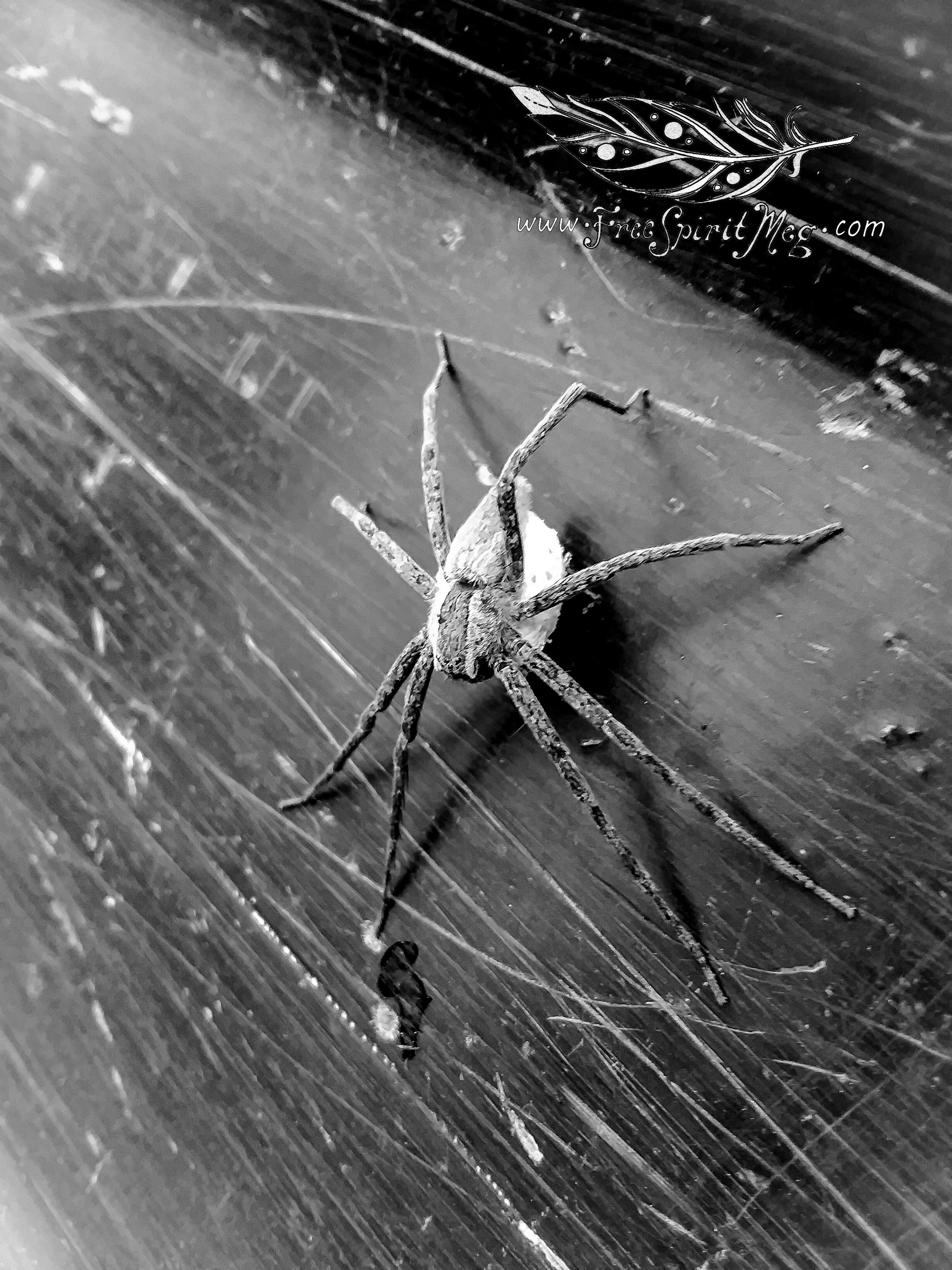 Megtography #1 – Starting Again -8.8.18