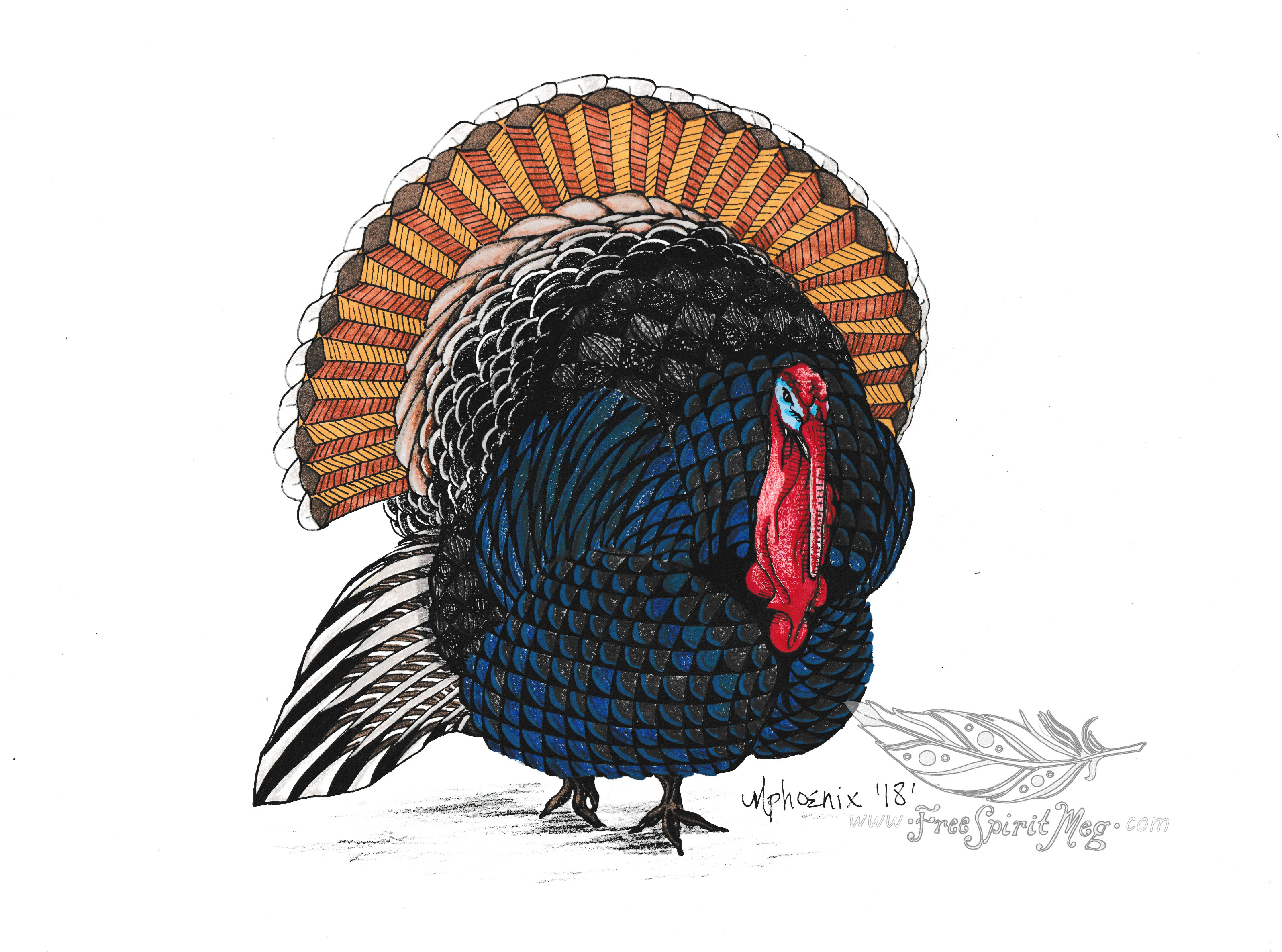 Totem Animal: Turkey
