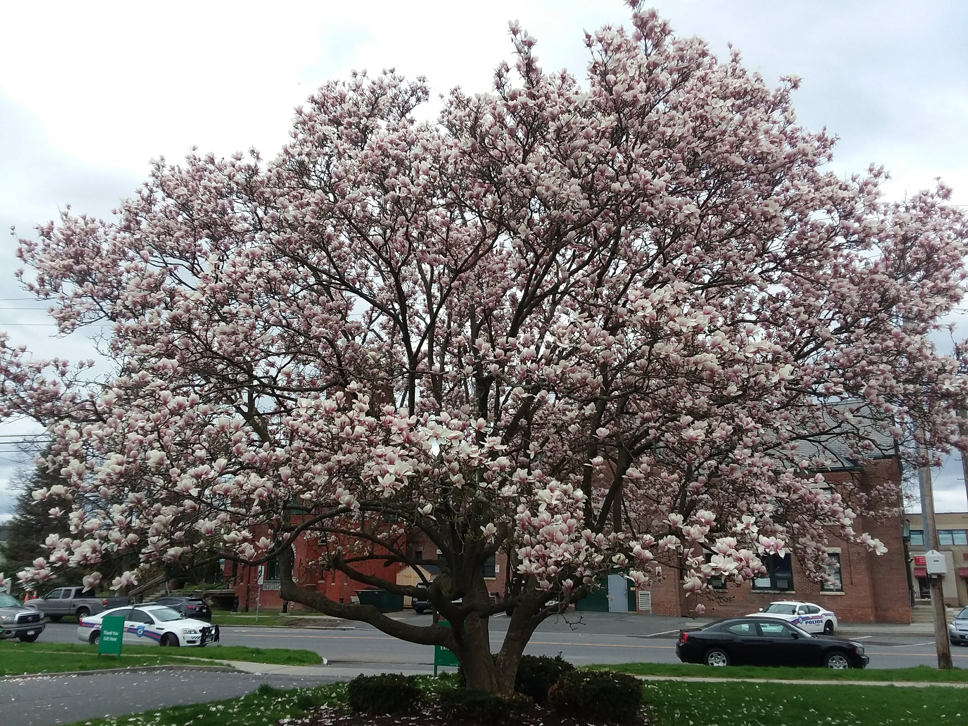 Photo Journal: April