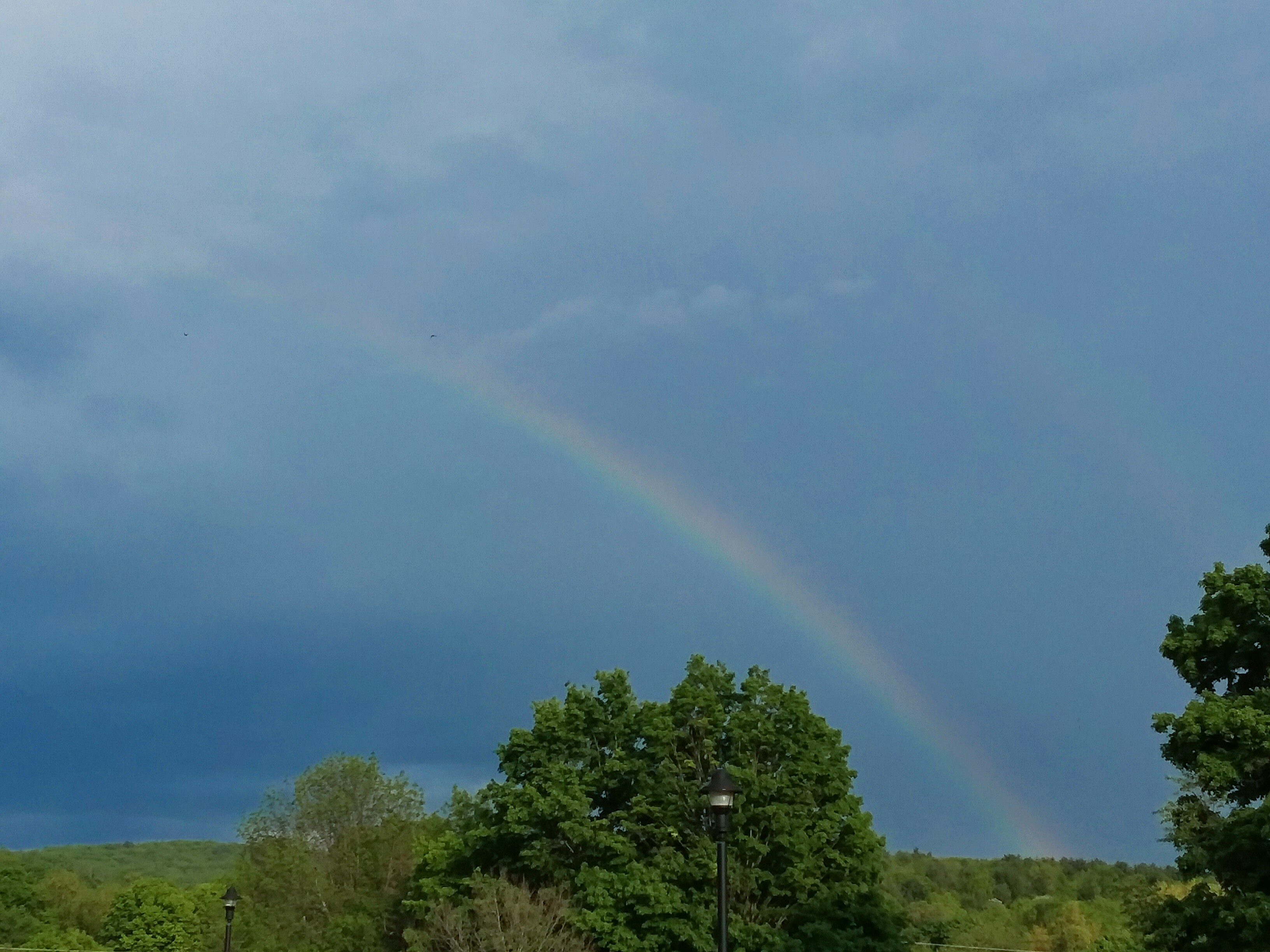 #10 – All the Colors