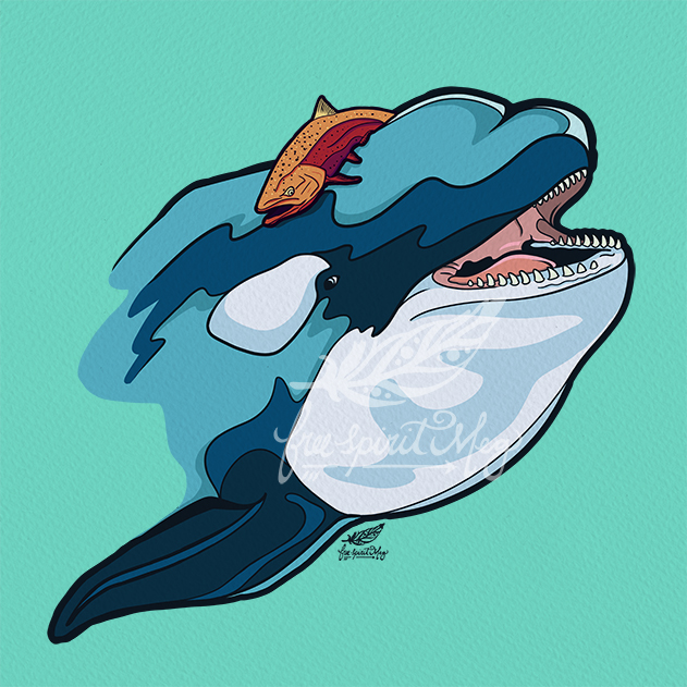 Animal News: Salmon Hats, An Orca Fashion Trend